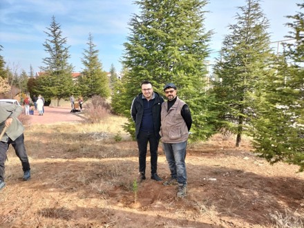 Her Çalışan Bir Fidan